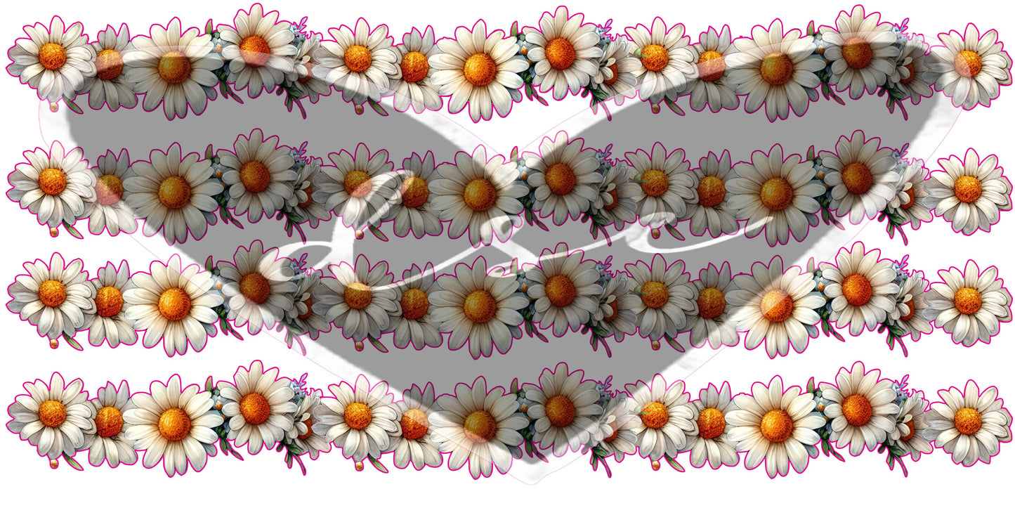 Daisy Borders
