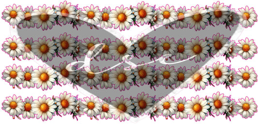 Daisy Borders