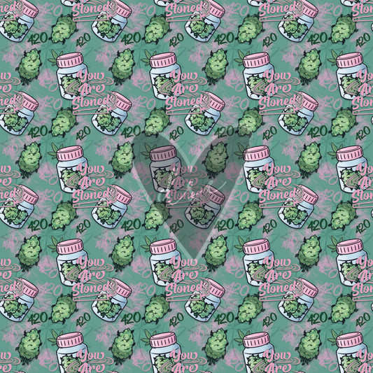 Assorted You Are Stoned Vinyl