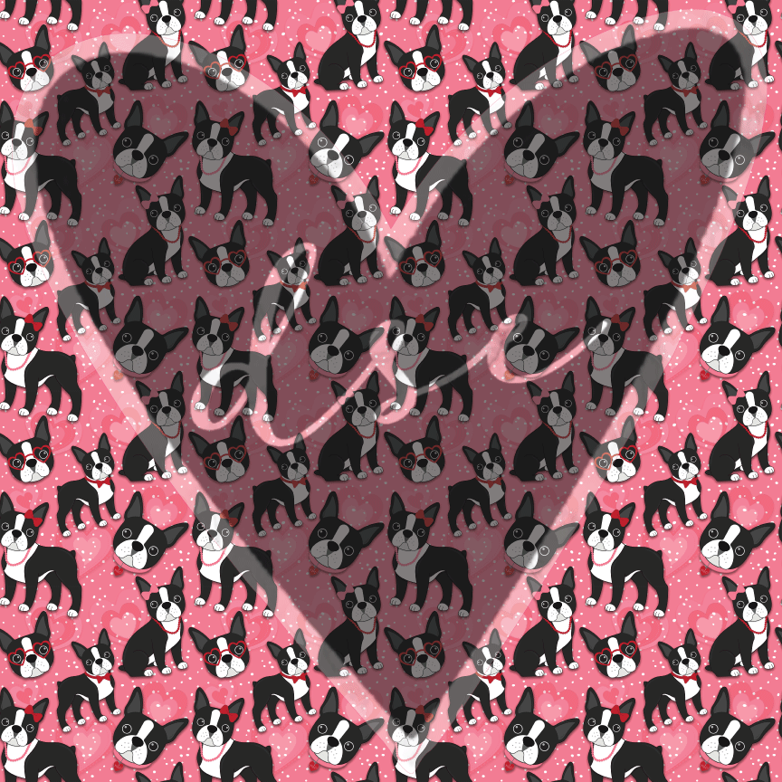 Boston Terrier Assorted Vinyl