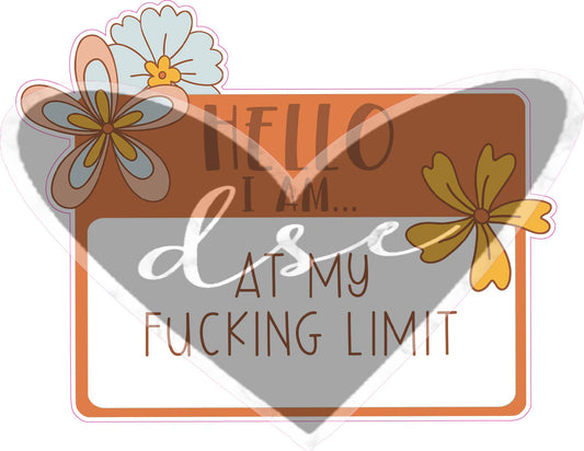 Assorted Hello I Am ... Name Tags Vinyl