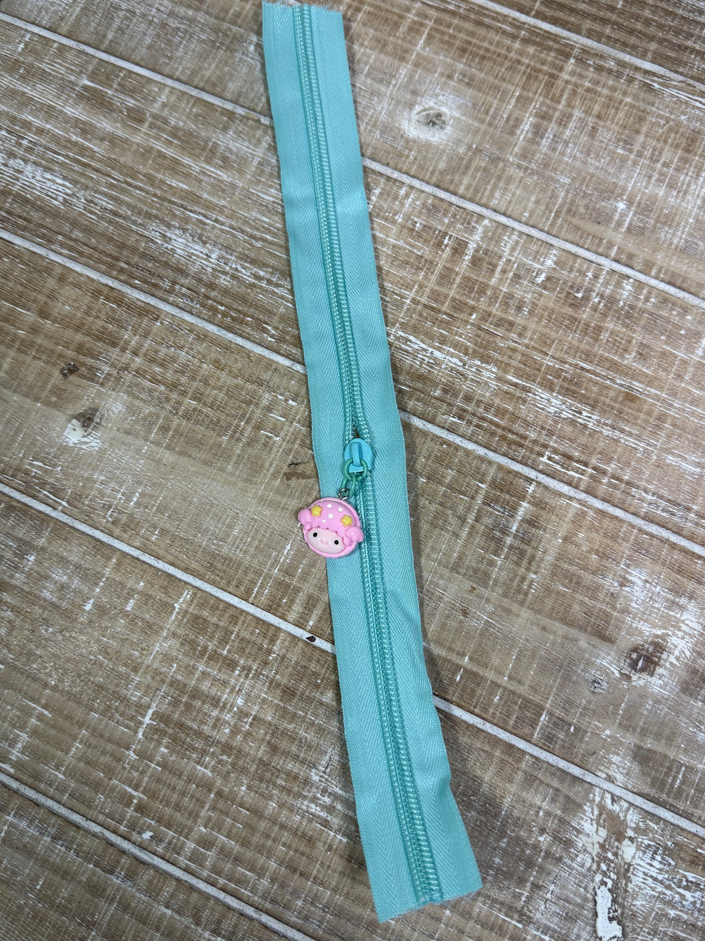 Assorted Zippers with Pulls