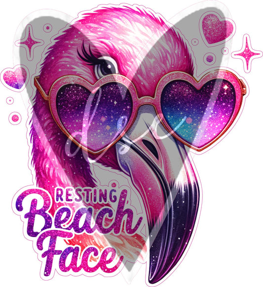 Assorted Resting Beach Face Vinyl