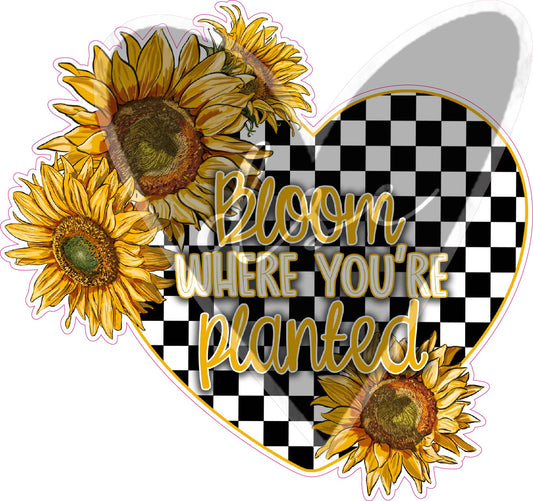 Assorted Sunflower Checkers Vinyl